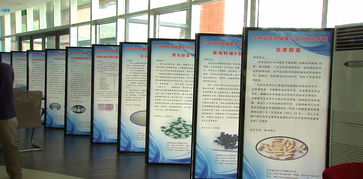 吉林省醫藥健康產業科技成果對接會圓滿落幕，科技中介服務賦能產業創新